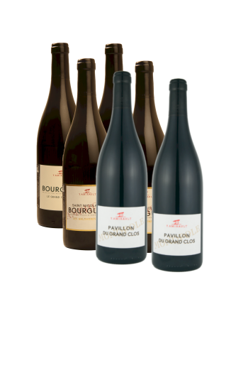 Offre Exclusive de Noël